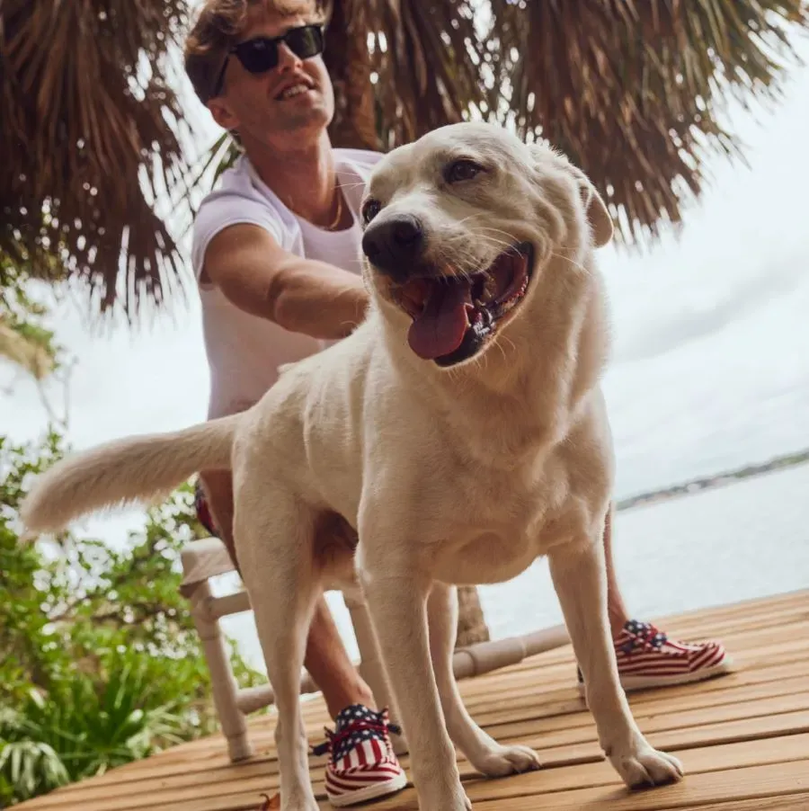 Wally Americana - Image 2